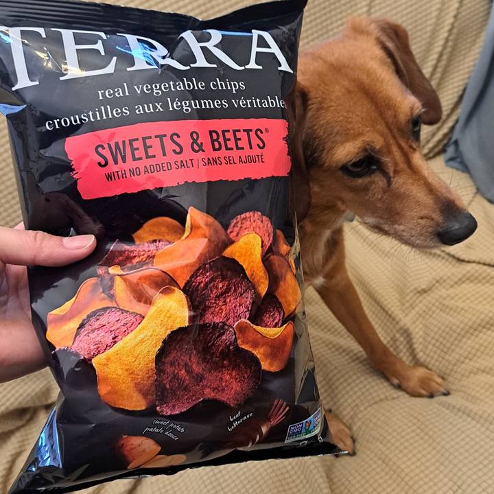 883e2e8e 3e84 4a0f ba07 c5e31e08ed0d 1761476090374