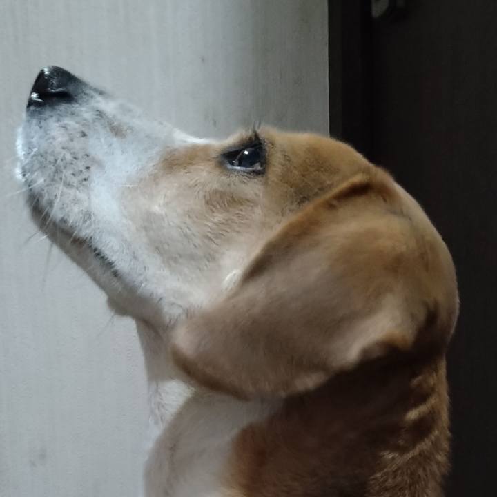 883e4671 f8f4 4a99 8383 0e54ee942078 1643118248462