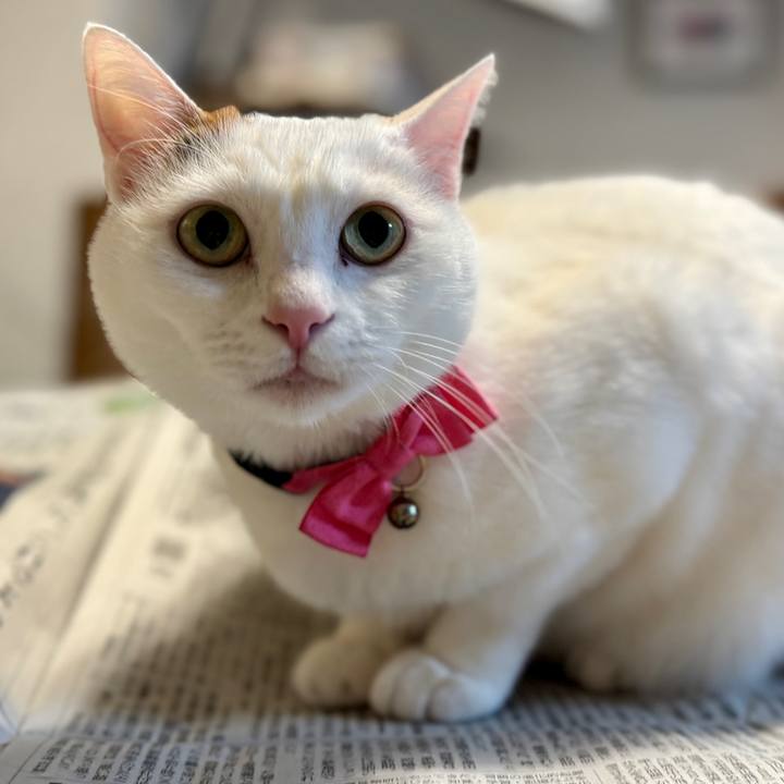 883e4eb3 7ade 49e0 a50d b5573a6a9187 1768905378697