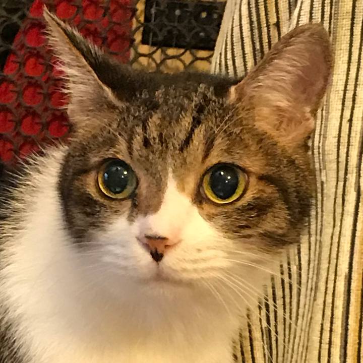 883e637c e09a 467c 8eb5 acf51161533c 1527313343329