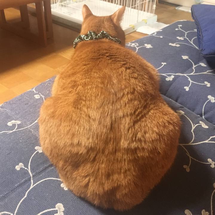 883e7b0b fe3f 4104 988c 1ec1d8909be0 1552731725932