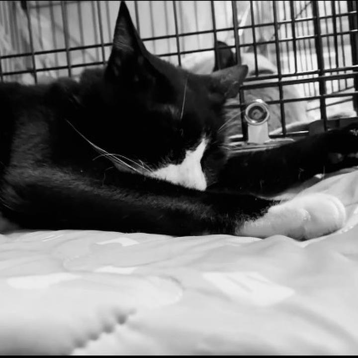 883eaa55 c1d6 482f 867f 5d61dc1042cb 1753868962109