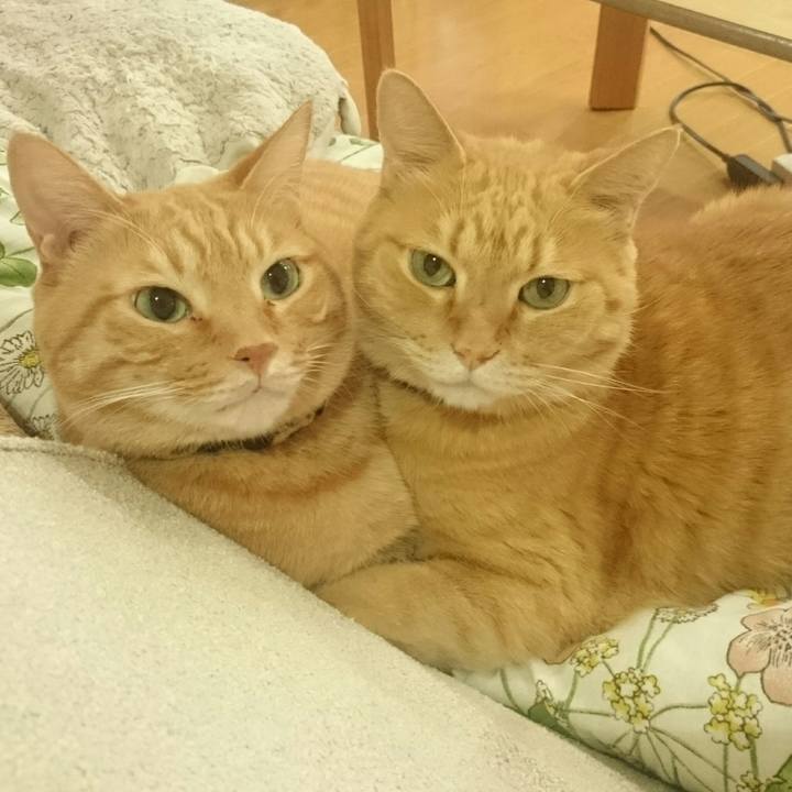 883eb7c7 bf63 43ce 9bc1 5ad6e91b627c 1537537680028