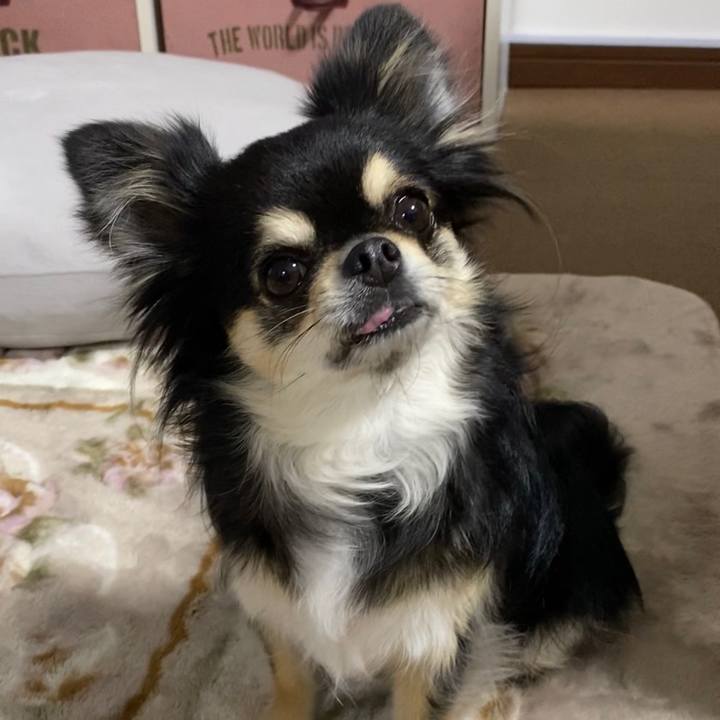 883ebe0e 04b3 42d0 bd9e 69cbd1cd445d 1642283589075