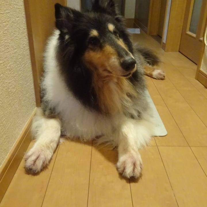 883ec2a6 8ecc 4c73 bb94 02171eaa923d 1601128758523