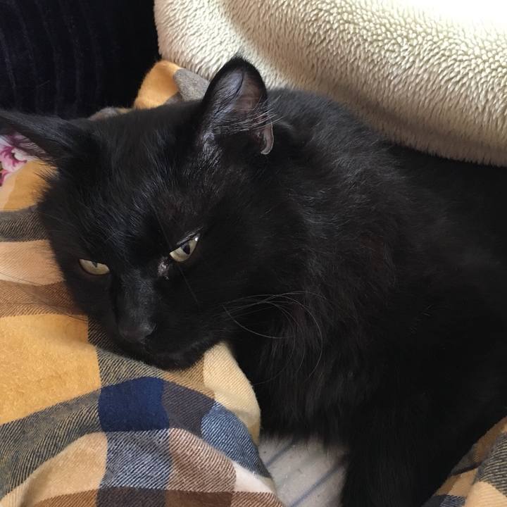 883ed6a2 25d2 4542 afd4 19086f81a51e 1515801415672