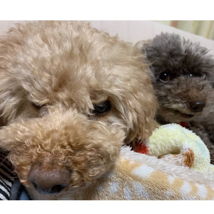 883edbd5 07e4 4de0 90c9 059011f86c66 1587937431962