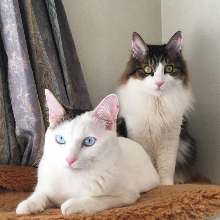 883f0f94 acb6 459f 960d 43459d201e38 1769821892880