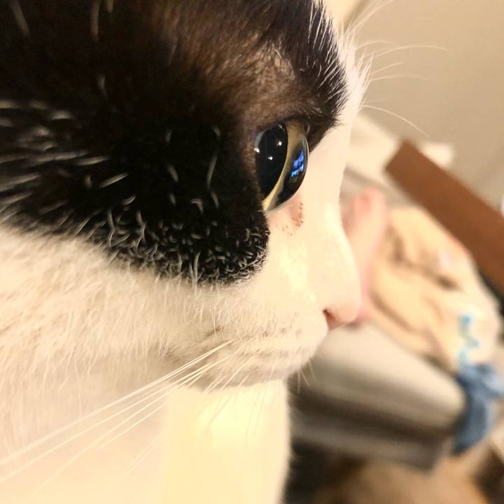 883f43ab 3fbf 4801 b457 a21b1c3b7cb5 1657150966149