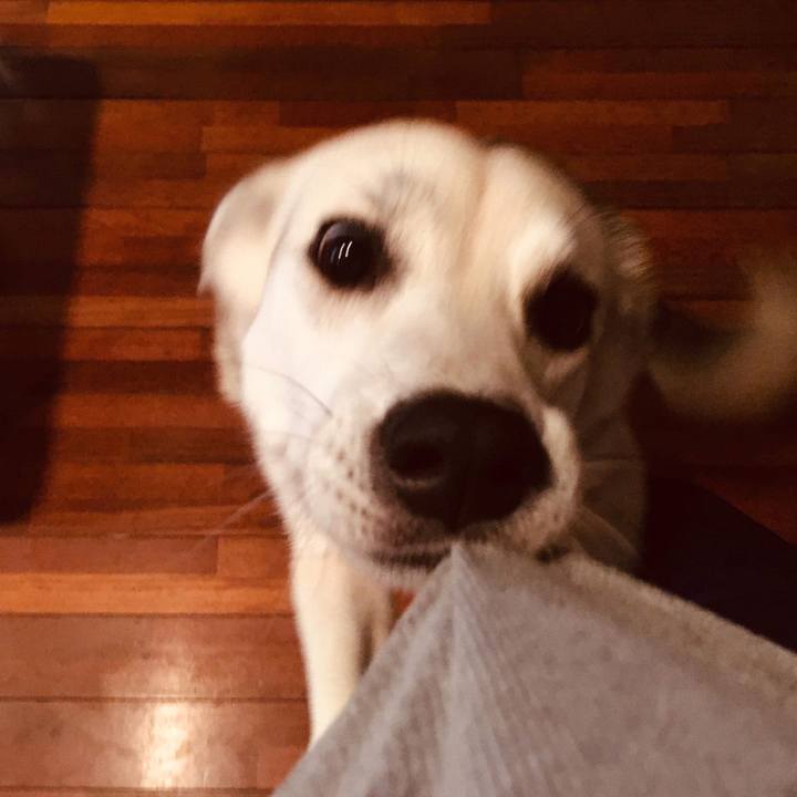 883f655e 4f54 4d0f 87c1 acb7d280ee83 1551536615357