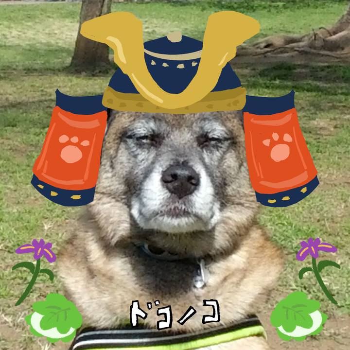 883f8e63 dc6b 45ae 8649 c1dfd5eaffe8 1714877832094