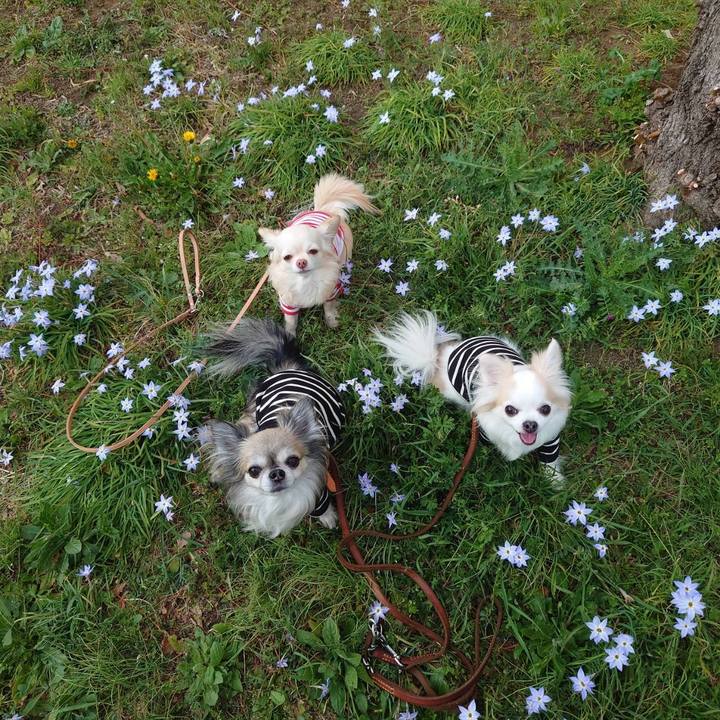 883fa621 318f 41de 91c6 9ec6cca5c1c8 1679382023843