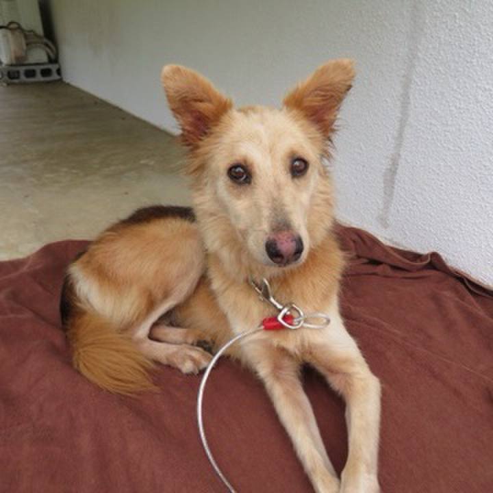 883faf9f eeee 4193 8333 d09d6da885d5 1596272148336