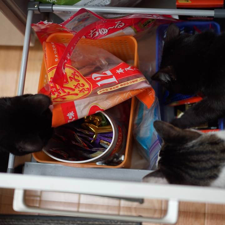 883fc7fb 0419 4d69 aa29 95467974a8dd 1551624265758