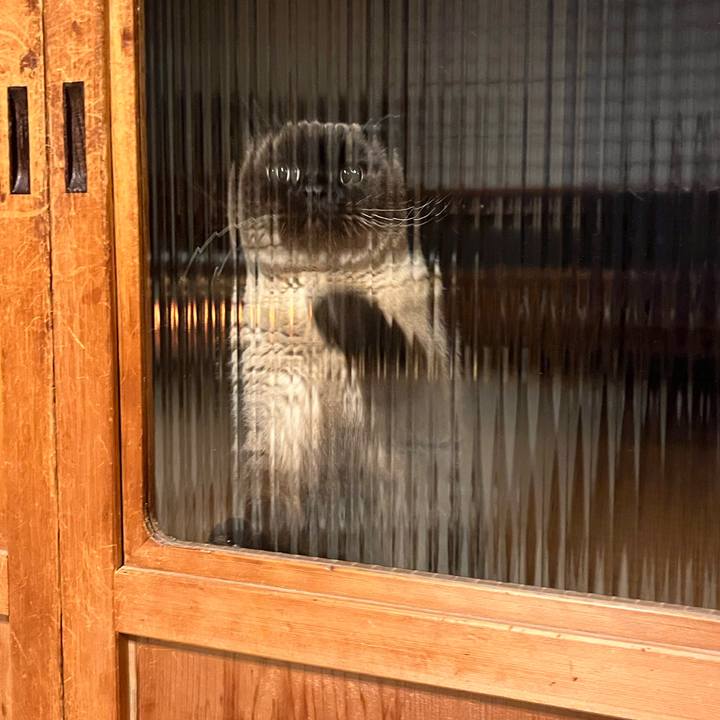 883fd0d9 23df 43f4 b0fe b90c9b0c9aca 1739005266919