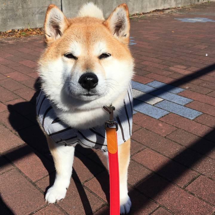 883fe1a5 b72d 4db3 b94b f00709b69600 1577504782554