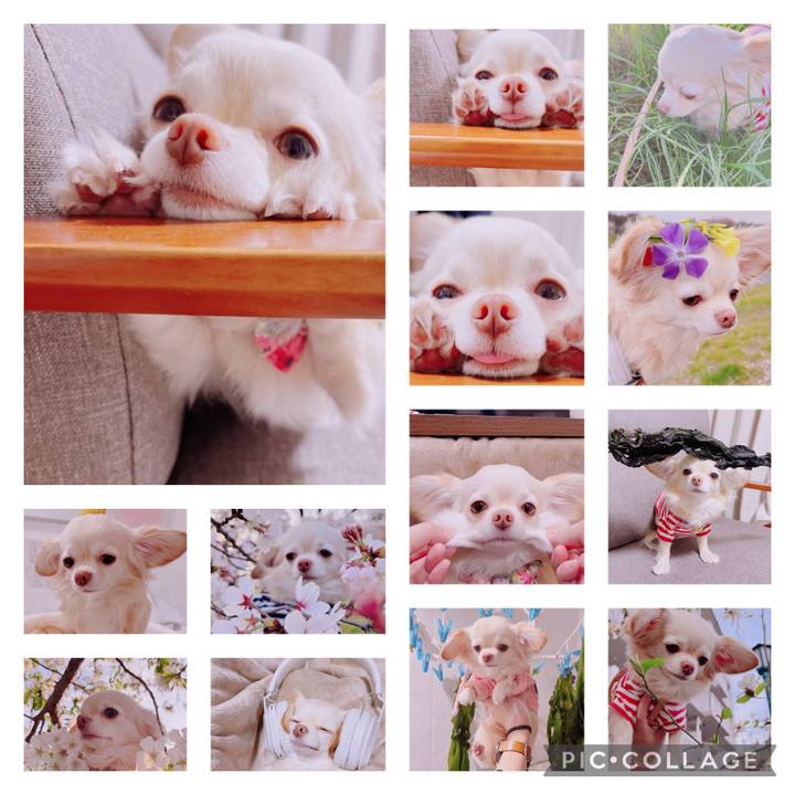 883ff080 941b 4e1d a47d ab10412a4e20 1697191600126