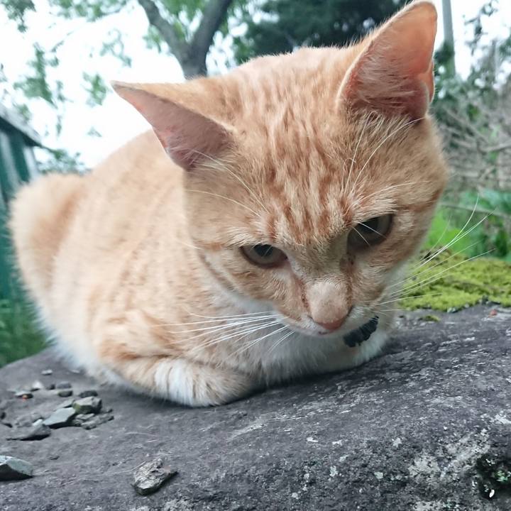 8840297b 88ff 474b 92a5 f5c449aea27f 1562925141873