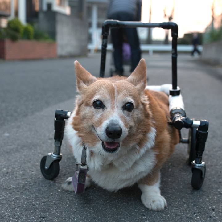 88402b0f 0618 4200 a4dc 00f09e169ca5 1555143070938