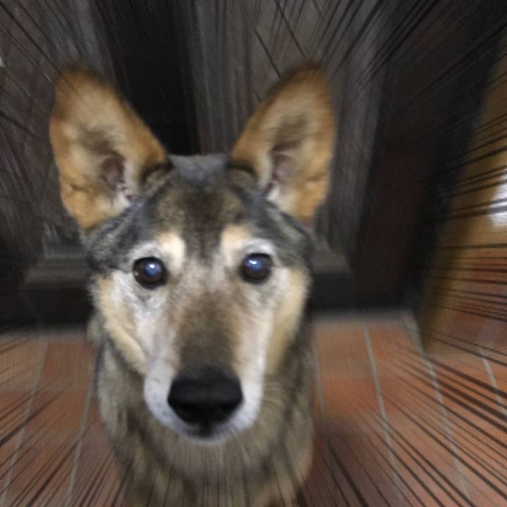 88407aa6 c68f 438e b576 5a4191240462 1520005794015