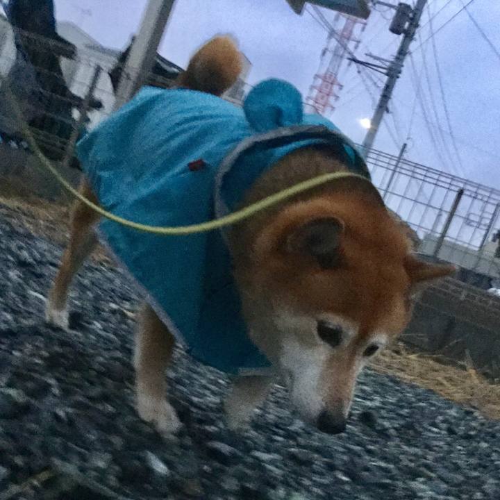 8840898f 3ac1 4aff 98d3 f2fe43a4f909 1611394091566