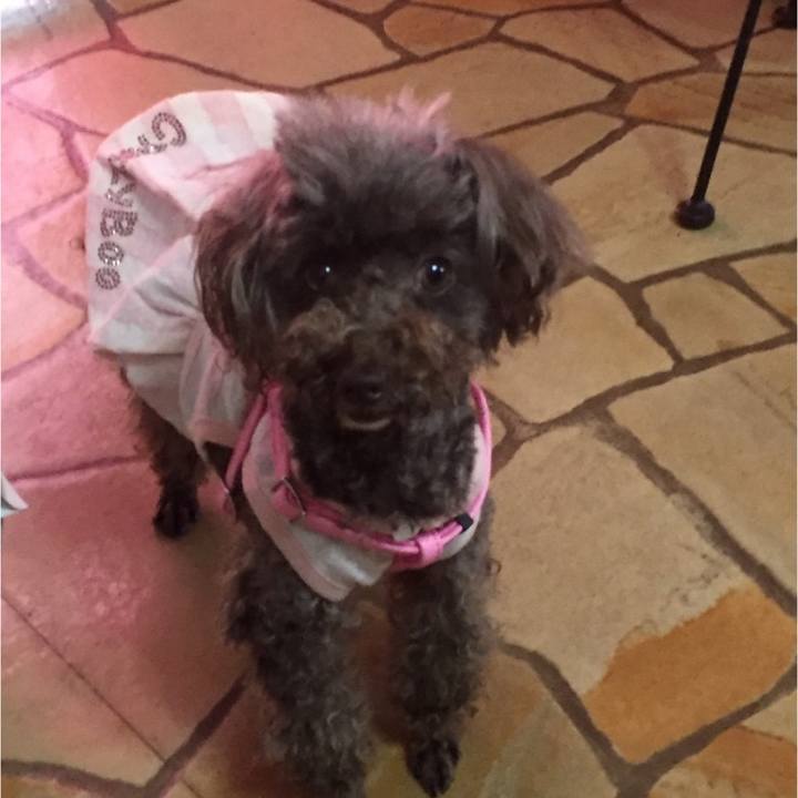 884097d7 f6bf 4b47 b6f4 48928f3cd918 1561017534538