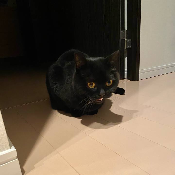 8840a097 b9a8 481b b8cf b3938d1146f4 1706876075224