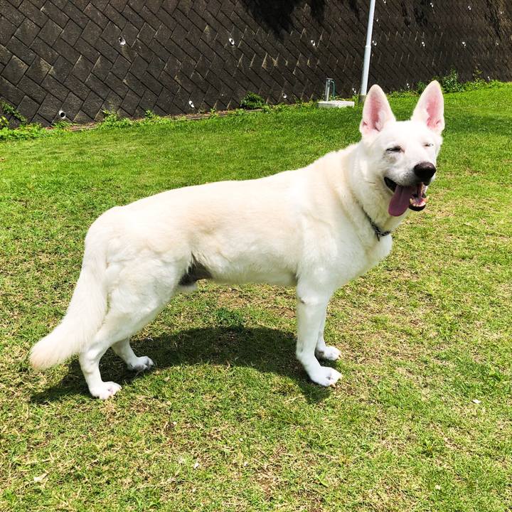 8840c077 8fc5 40a3 8ec6 13f0bd9f0804 1562944622906