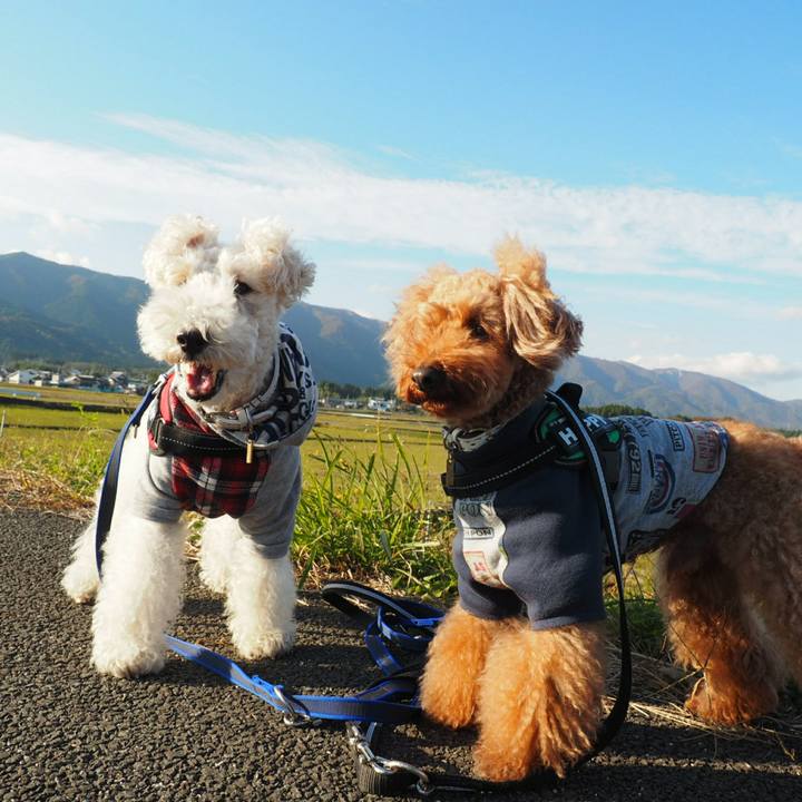 8840fe57 b8cf 4f87 84ec e3699ca047f7 1509728144744