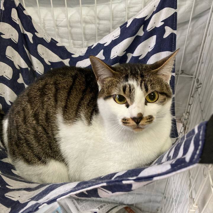 884132ef 253e 4eef 8f68 eba7194f3ab2 1606984853811