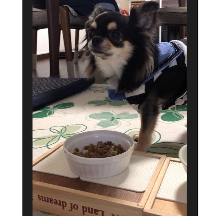 88414754 363a 4c6e 97fc 3eb2e13ee2cb 1565133317117