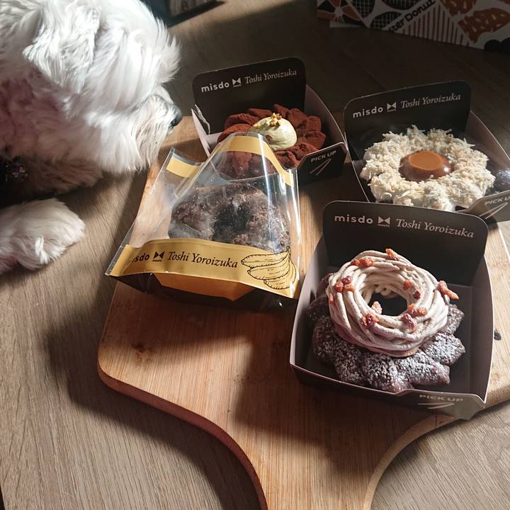 88415454 e92c 40dc 8dfd 5eca87e67069 1674709764565