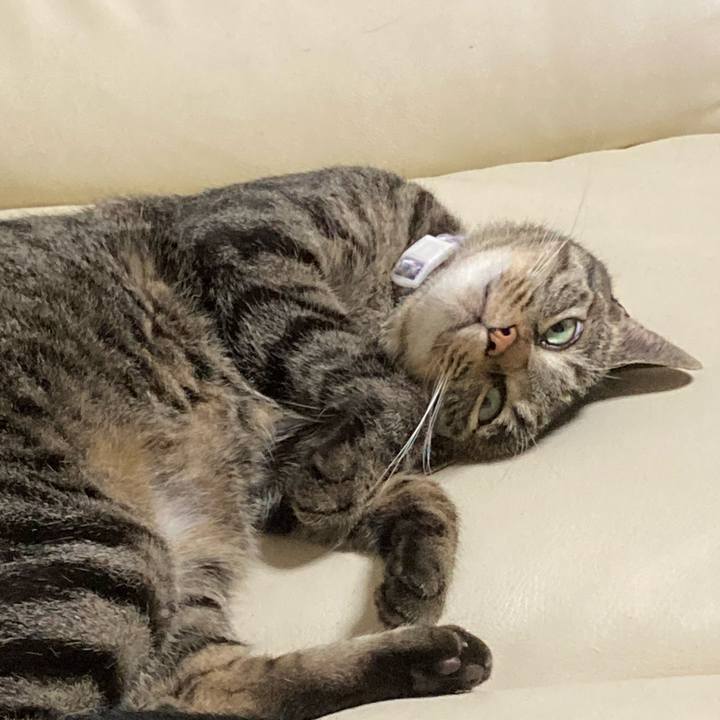 88416dbc 71f2 4ac3 ae7d 0fa0fa44ff34 1635324394514