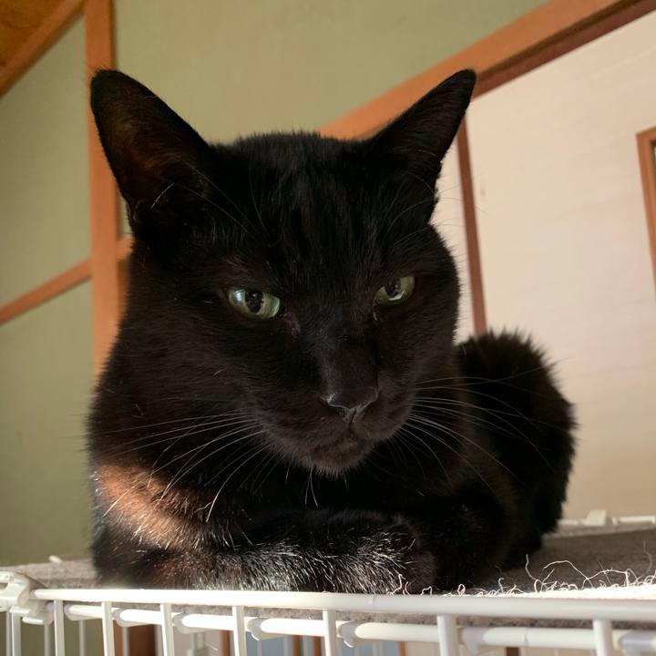 88419c4f c86f 4361 8b62 0218e8b2dff3 1544749517616