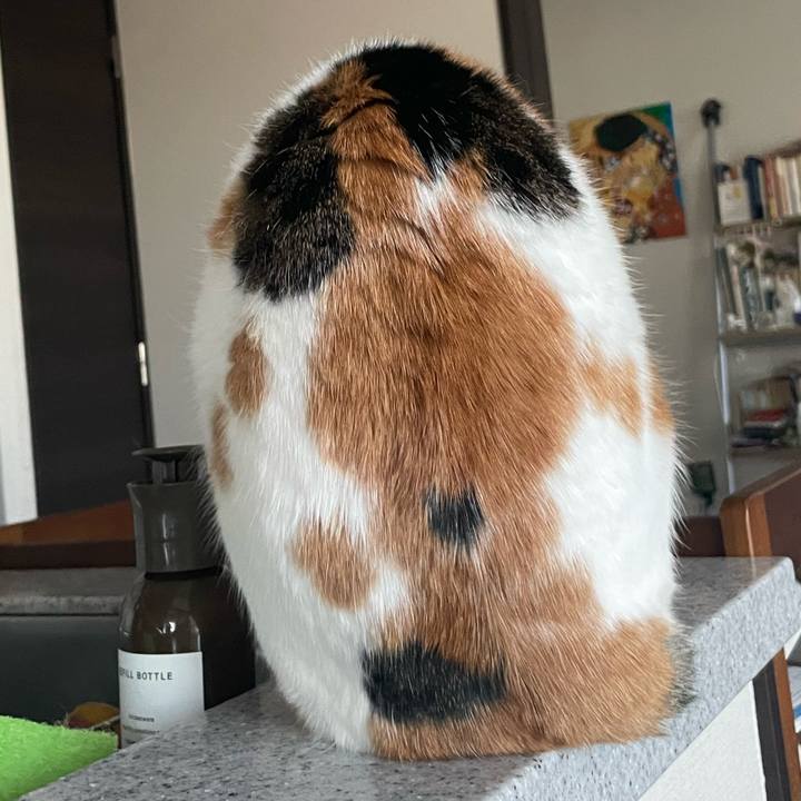 8842f49f fefc 41b6 ad89 397ff0d77374 1764819000265