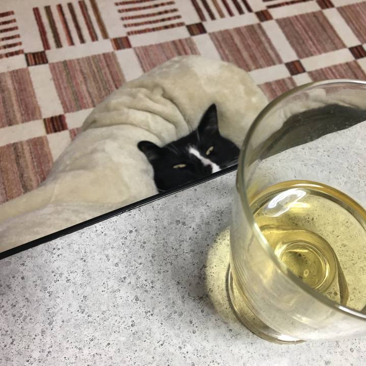 8843442b 0920 4a49 98a0 e14f57bcc209 1549803760100