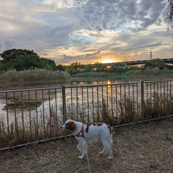 88434b64 775c 4699 a6b2 12f0b95198d9 1635593764375