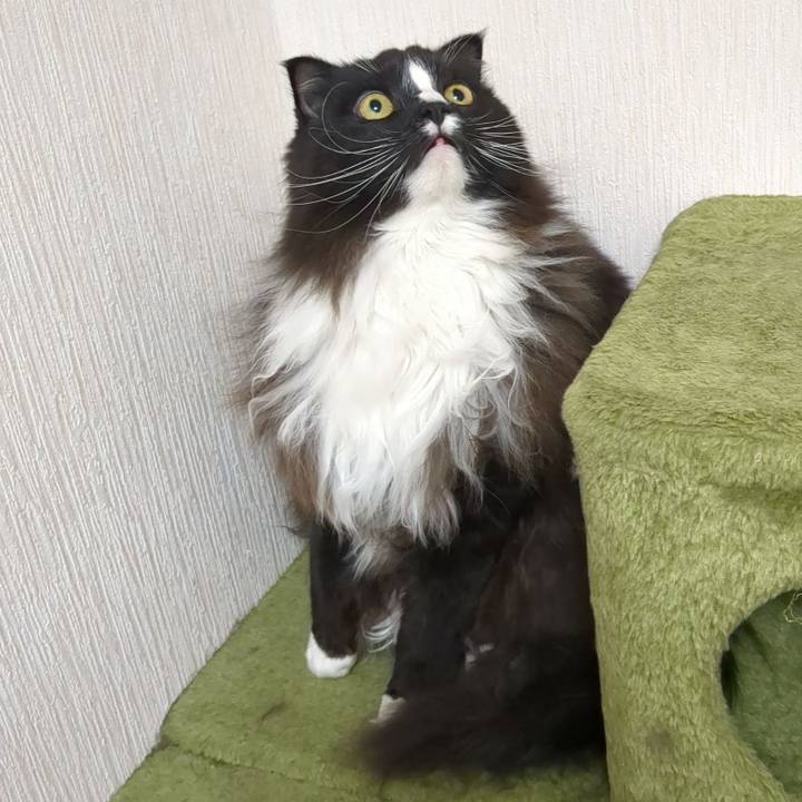 88435a43 cf74 405a a30a 062ed4aee875 1670208747056