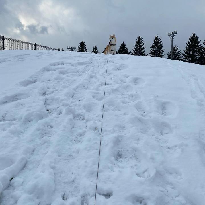 88435cf0 0f46 47c9 9da7 c276becd5e5b 1734063776203