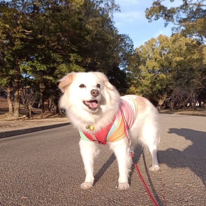 884374c4 297b 48a4 abb6 d1d80d3fe613 1675583344457