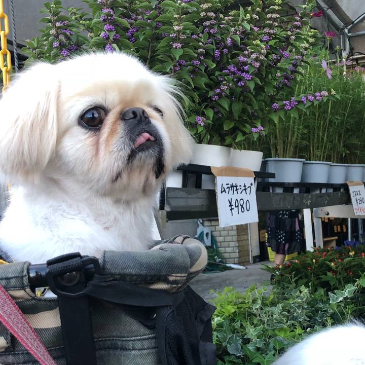 88439d6b cf5b 4d52 a0dd b2c4784c7268 1537308929898