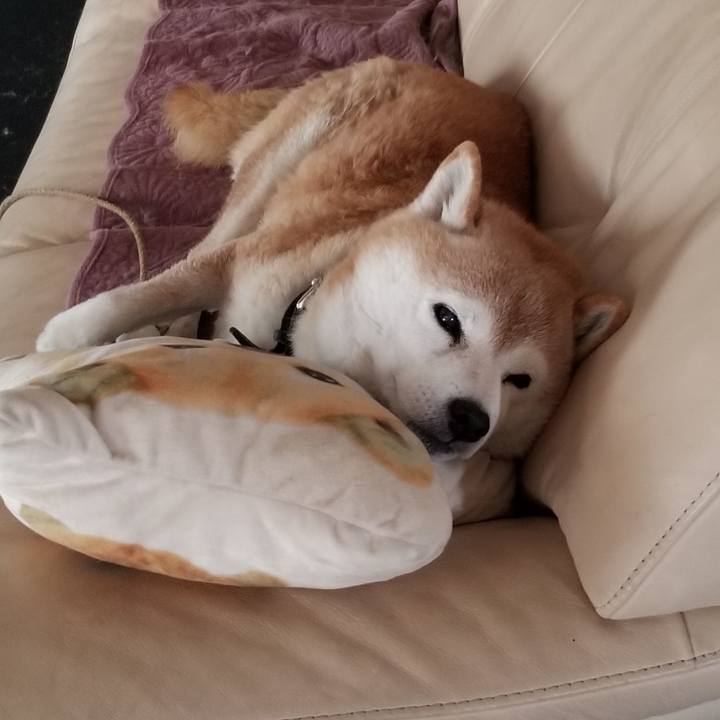 8843ae40 4854 4c3d 8f0d 67309d505628 1700877652115