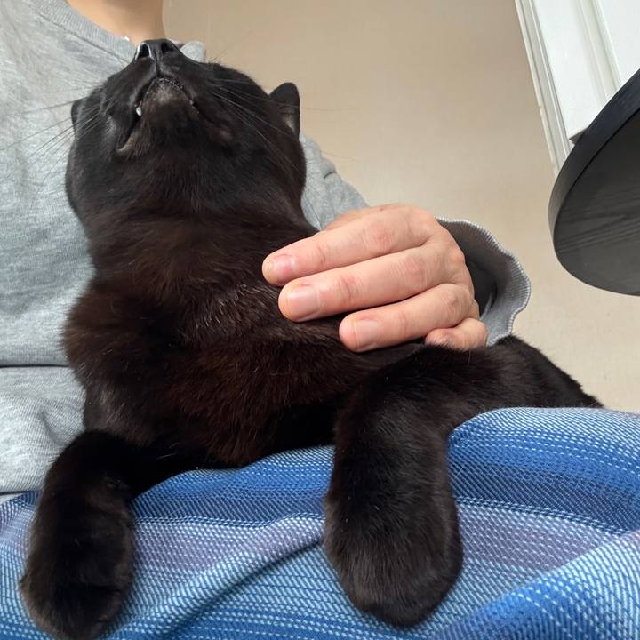 8843c80c 6517 45d4 8137 c63d725c1195 1744494612699