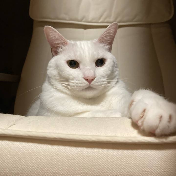 88440150 4e5d 4d14 b0a0 ceba506991b0 1663861055298