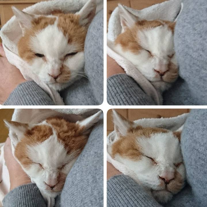 88442ece da62 4fab a3ed a01ea0f07bfe 1578010424452