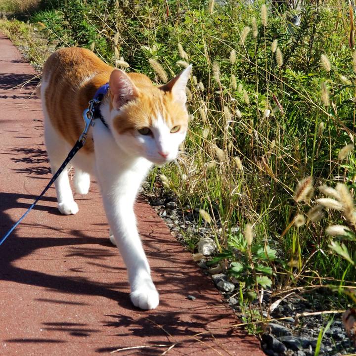 884440f1 d426 4f05 8ee0 71da960f4fdd 1541307484289