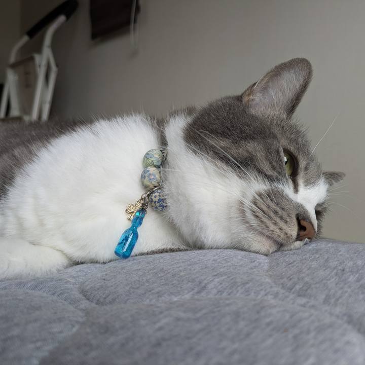 88444962 e05c 4b4c 883d 3944f168b245 1755826863619