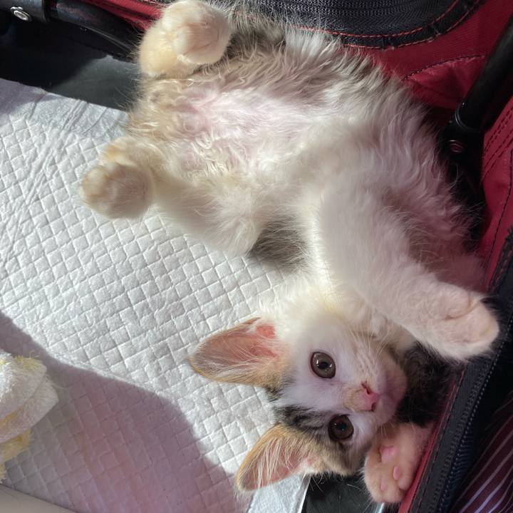 884471de 7d7f 476b 9877 72cf9f86e53c 1630308578112