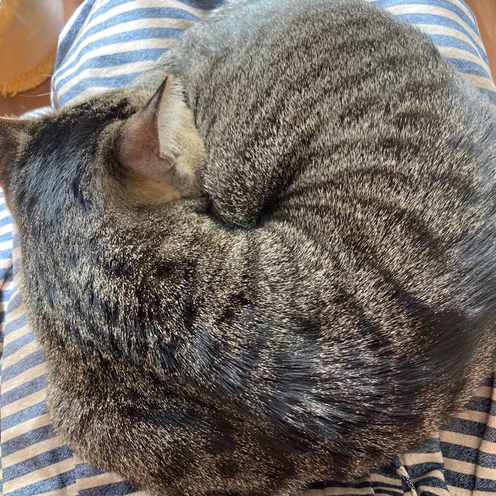 88448c45 250e 448d 8be2 1a6769736edf 1769641571708