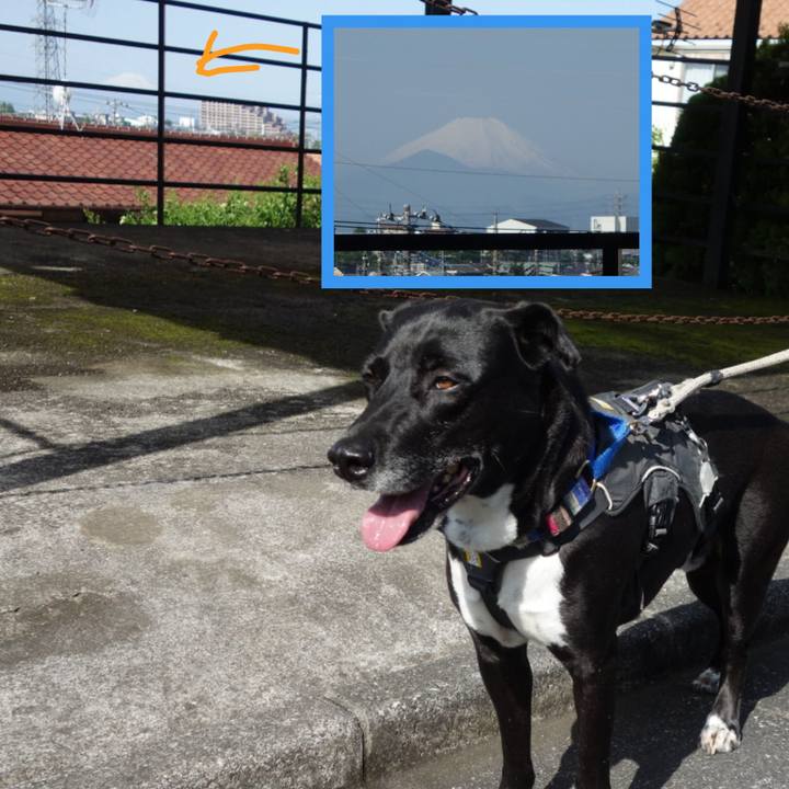 88449f43 2cf6 4db2 be0b a031573452b2 1650848583540